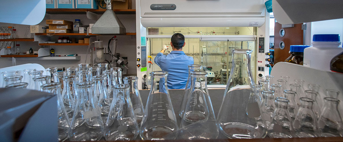 uconn student in lab