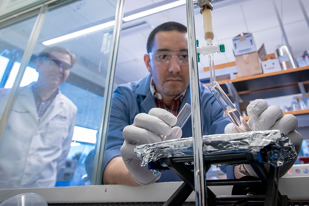 Student performing an experiment at the School of Pharmacy lab on Nov. 8, 2018. (Sean Flynn/UConn Photo)